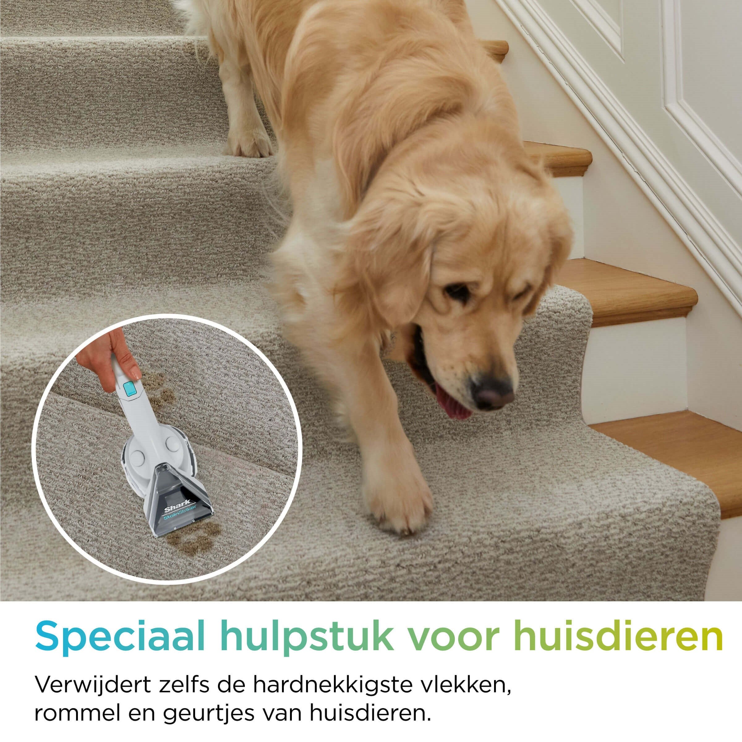 Shark StainStriker - Vlekkenreiniger - PX200EUT