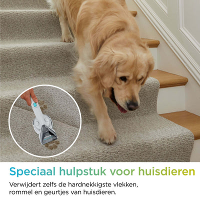 Shark StainStriker - Vlekkenreiniger - PX200EUT
